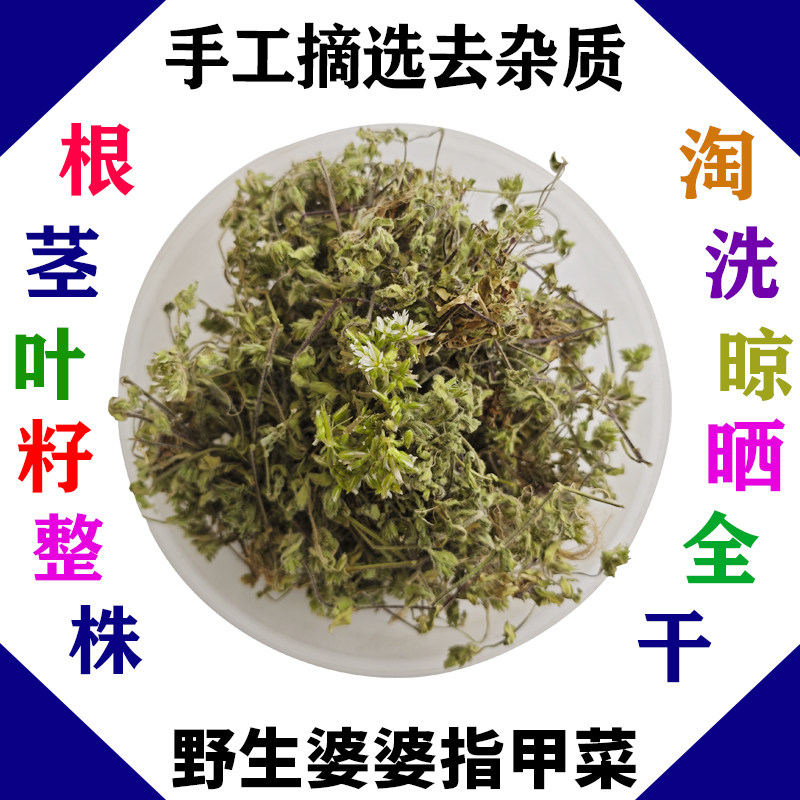 野生整株卷耳婆婆指甲菜瓜子草高脚鼠耳菜山马齿苋铺地黄100g包邮