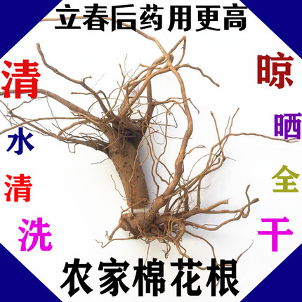 棉根 棉花根 草棉根 棉花树根 蜜根 棉花杆根可切段中药材1斤包邮