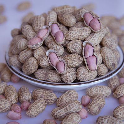 24年新重庆生花生带壳粉皮小颗粒花生香甜干饱满5斤9.5斤