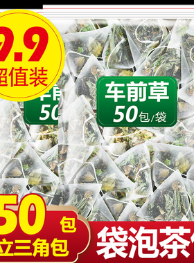车前草野生新鲜中草药正品500g车钱草的功效与作用袋泡茶泡水喝粉