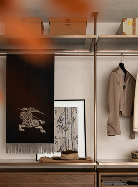 【新中式衣帽间】样板衣柜装饰摆件外套上衣马褂禅意画设计师搭配