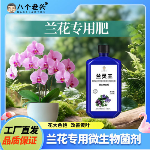 厂家供应八个补水老头兰灵王兰花专用营养液肥料EM君子兰蝴蝶兰