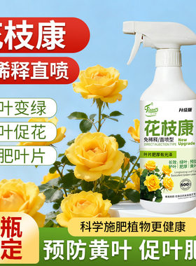 一花之吻花枝康黄叶黑叶花卉绿植护叶养叶用直喷型果蔬园艺通用