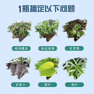 植物复壮素通用花卉养花生长浓缩营养液多肉盆栽土壤叶面水营养液