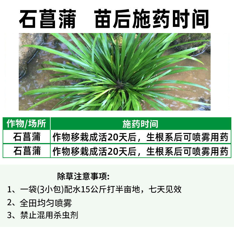 石菖蒲除草剂金叶钱石菖蒲苗后灭草药禾阔双除不伤中药材烂根剂