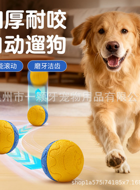 跨境新品宠物玩具球ETPU智能训狗球狗狗宠物球高弹力耐咬磨牙狗球