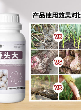 新农友蒜头大水溶肥蒜瓣饱满防干尖不黑蒜助力蒜头快速膨大增产