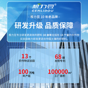 CKGO栀子花专用营养液促进开花改善黄叶园艺肥料工厂支持一件代发