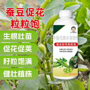 专为蚕豆开花结荚中量元素水溶肥促花保果粒饱满膨粒壮荚提质增收