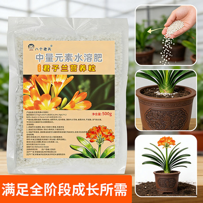 君子兰专属营养颗粒缓释肥料防烧根叶亮纹深花箭挺养根壮苗花期长