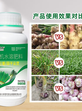 韭葱姜蒜干尖灵高产专用黄叶烂根一喷绿正品大田农作物农用且通用