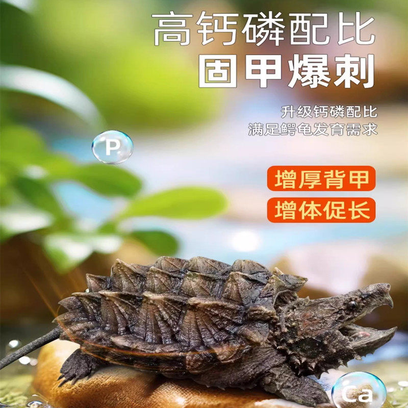 品寸金鳄龟饲料龟粮小鳄龟幼龟爆台钓饵