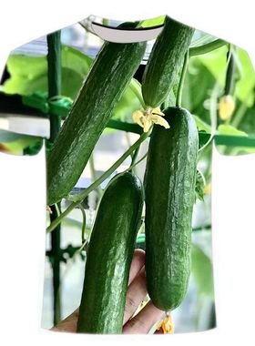 egly夏季 蔬菜图案3D数码印花T恤潮男女宽松圆领短袖衫绿色inst恤