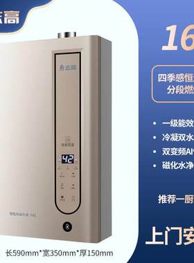 志高一级能效零冷水冷凝燃气热水器天然气家用洗澡恒温13升/16升