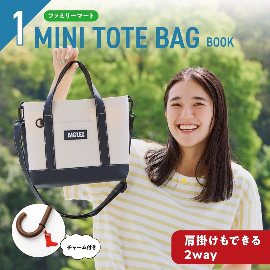 宝岛社限定AIGLETOTEBAG托特包