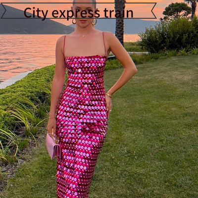 Women'ssequinedembroideredV-ne