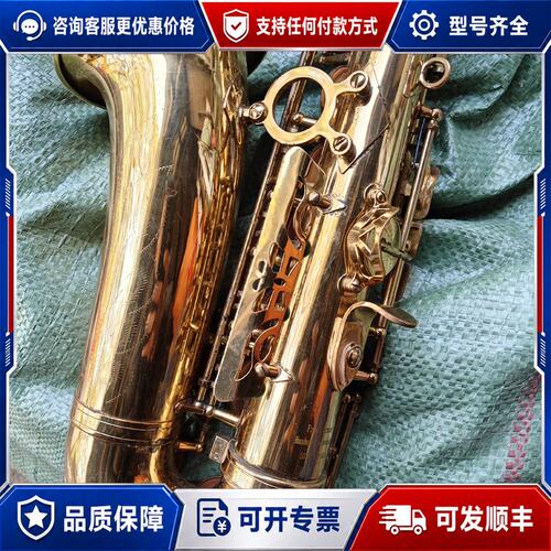 议价维斯曼Wisemann萨克斯 AE-810有的部位脱镀有可维修
