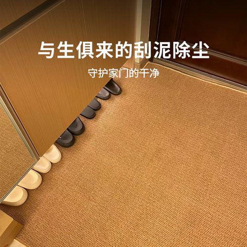 入户地垫2024新款仿剑麻地毯脚垫