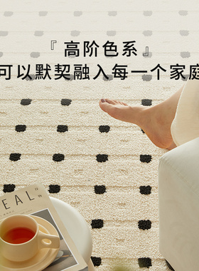 真防水防污地毯客厅2024新款轻奢现代简约沙发毯卧室高级感
