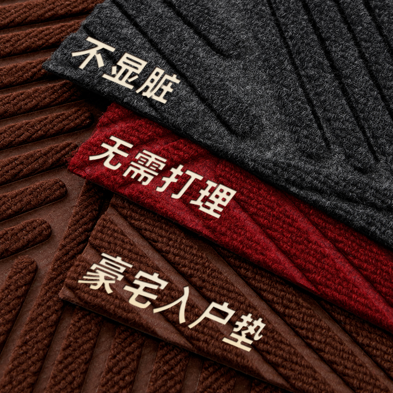 【轻奢高级】入户门防滑地垫