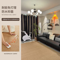 Waterproof carpet, no need for maintenance or washing in the living room, washable sofa, bedroom bedside bay window, cat scratch-off board, entrance floor mat, photo-taking thumbnail 8