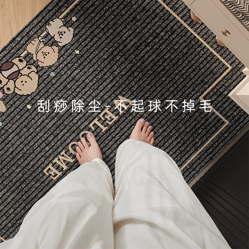 地垫入户门进门地毯新款可裁剪
