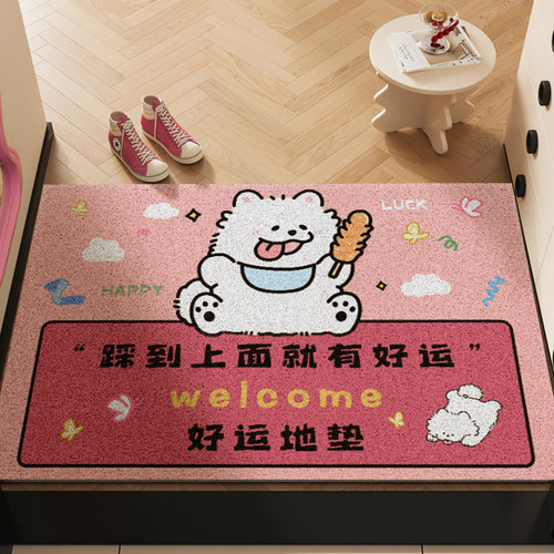 好运！2026新款丝圈入户地垫