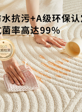 真防水防污地毯客厅2026新款奶油风免洗可擦轻奢高级感卧室毯轻奢
