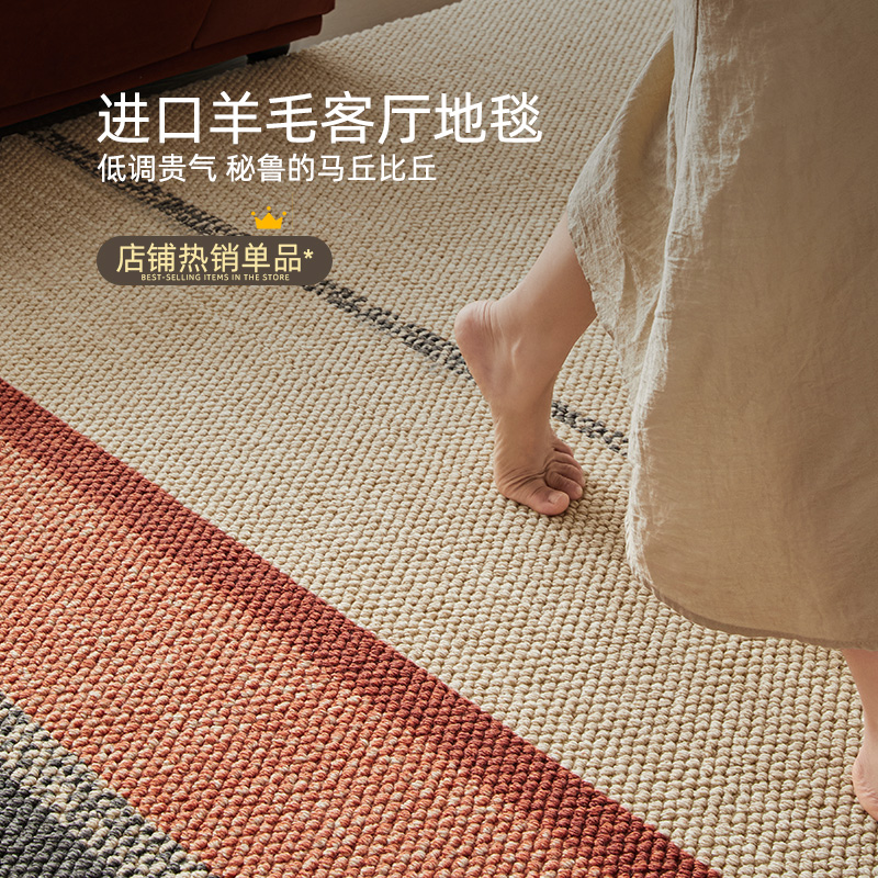 中古高级感地毯2025新款客厅