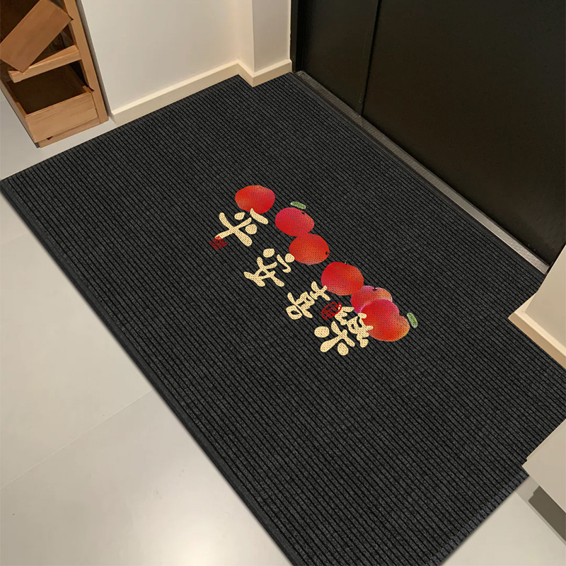 地垫入户门垫高级感防滑耐脏