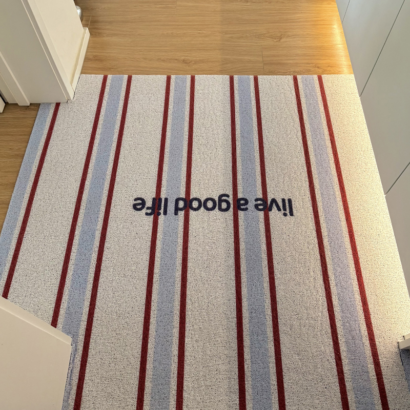 入户门地垫2025新款小清新