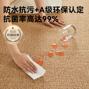 地毯客厅2026新款防水防污可擦免洗摄影棚卧室房间床边地垫满铺