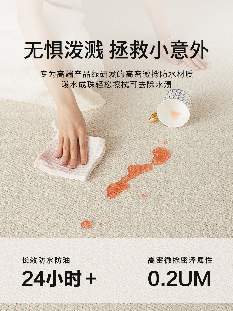 防水防污客厅地毯2025新款无障碍高端无忧地垫沙发卧室床头毯
