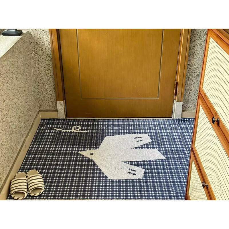 入户门垫进门地垫高级感2025新款家用玄关小清新丝圈脚垫耐脏防滑
