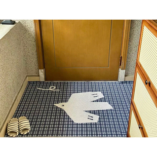 入户门垫进门地垫高级感2025新款 家用玄关小清新丝圈脚垫耐脏防滑