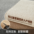 地毯门垫进门入门玄关门外垫子脚垫耐脏可裁剪 入户门地垫2025新款