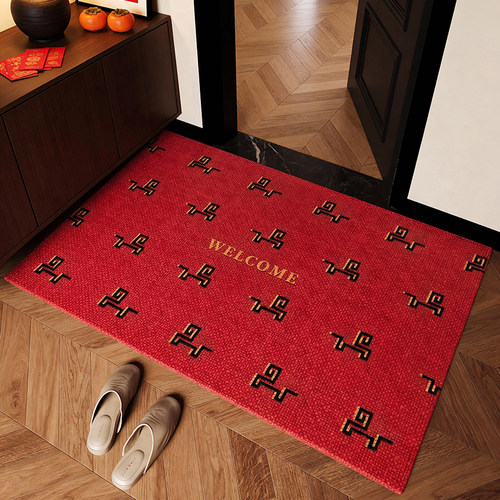 2025新款防滑耐脏高级感入户地垫