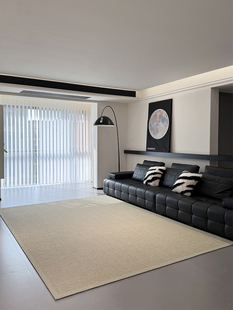 新西兰进口羊毛地毯客厅无障碍豪华高端2025新家素色沙发卧室地垫