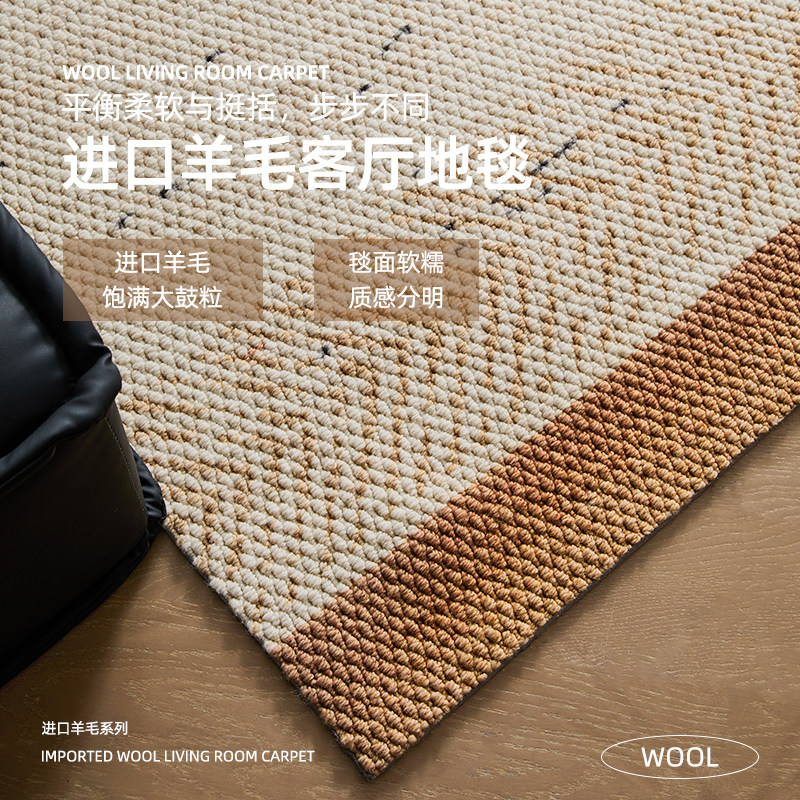 2026新款进口羊毛地毯云絮高级感中古风客厅原木轻奢沙发茶几地垫