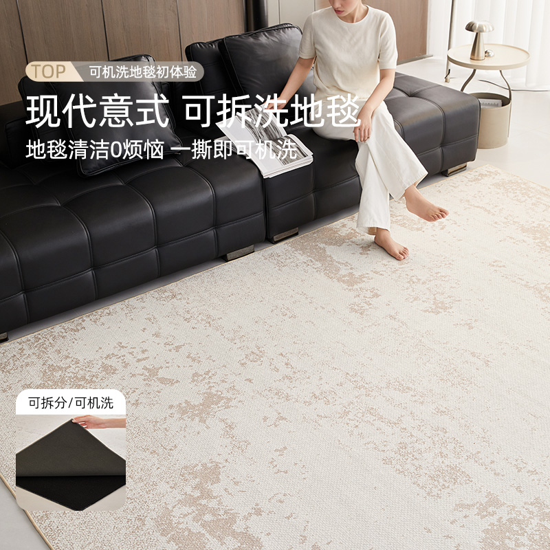 轻奢高级感可拆洗地毯客厅
