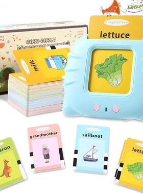 Educational Learning Talking Flash Cards Kindergarten Kids E