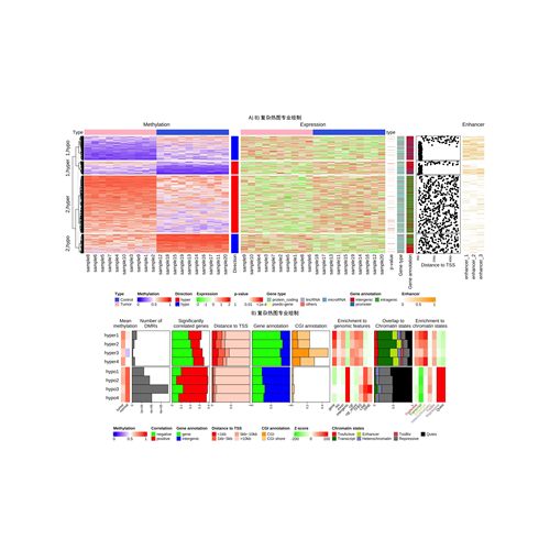 R语言绘图数据分析可视化森林图meta网状分析逻辑回归亚组ROC曲线