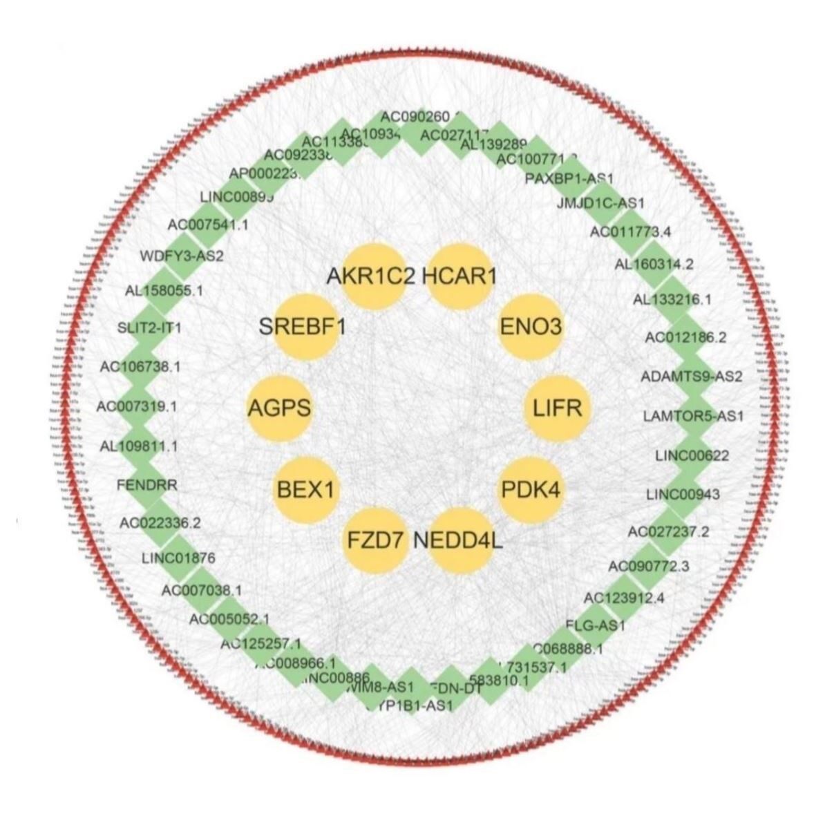 网络药理学生信分析核心SCI套餐中药复方分子对接