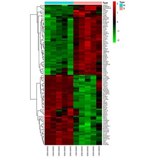 GEO单细胞转录组孟德尔网药实验外包科研 生信分析TCGA