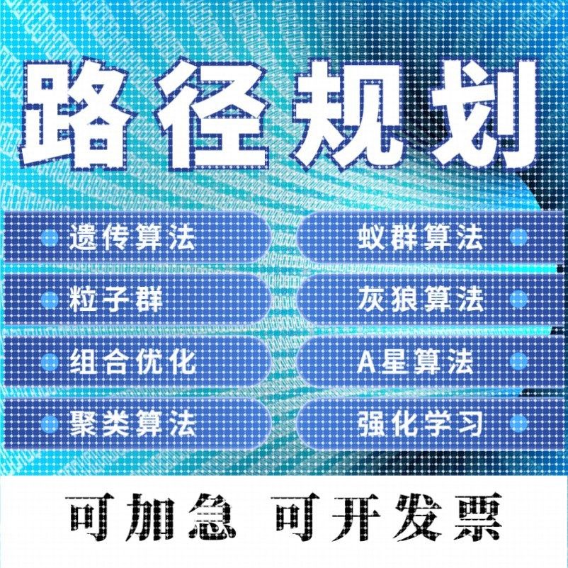 matlab路径规划遗传蚁群蜂群狼群算法代编python强化学习组合优化