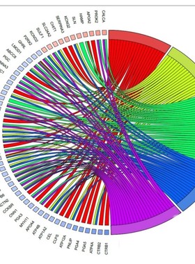 生信分析 tcga/geo数据库  kegg富集分析 火山图绘制
