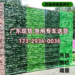 仿真绿植物围栏假绿叶隔断伸缩篱笆花园栏杆阳台庭院墙面栅栏装饰