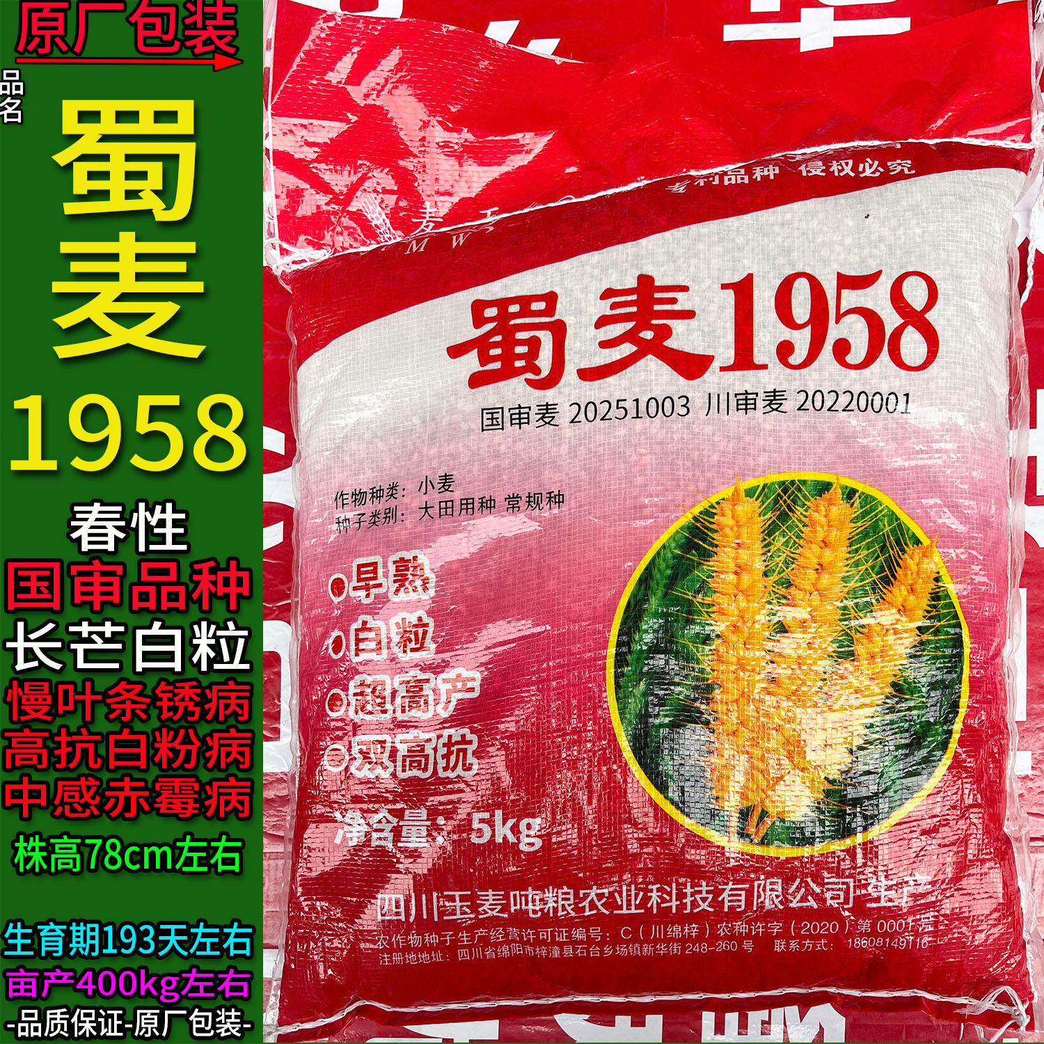 蜀麦1958【5kg】原袋装小麦子种子白色颗粒面粉面条大田用种绵阳