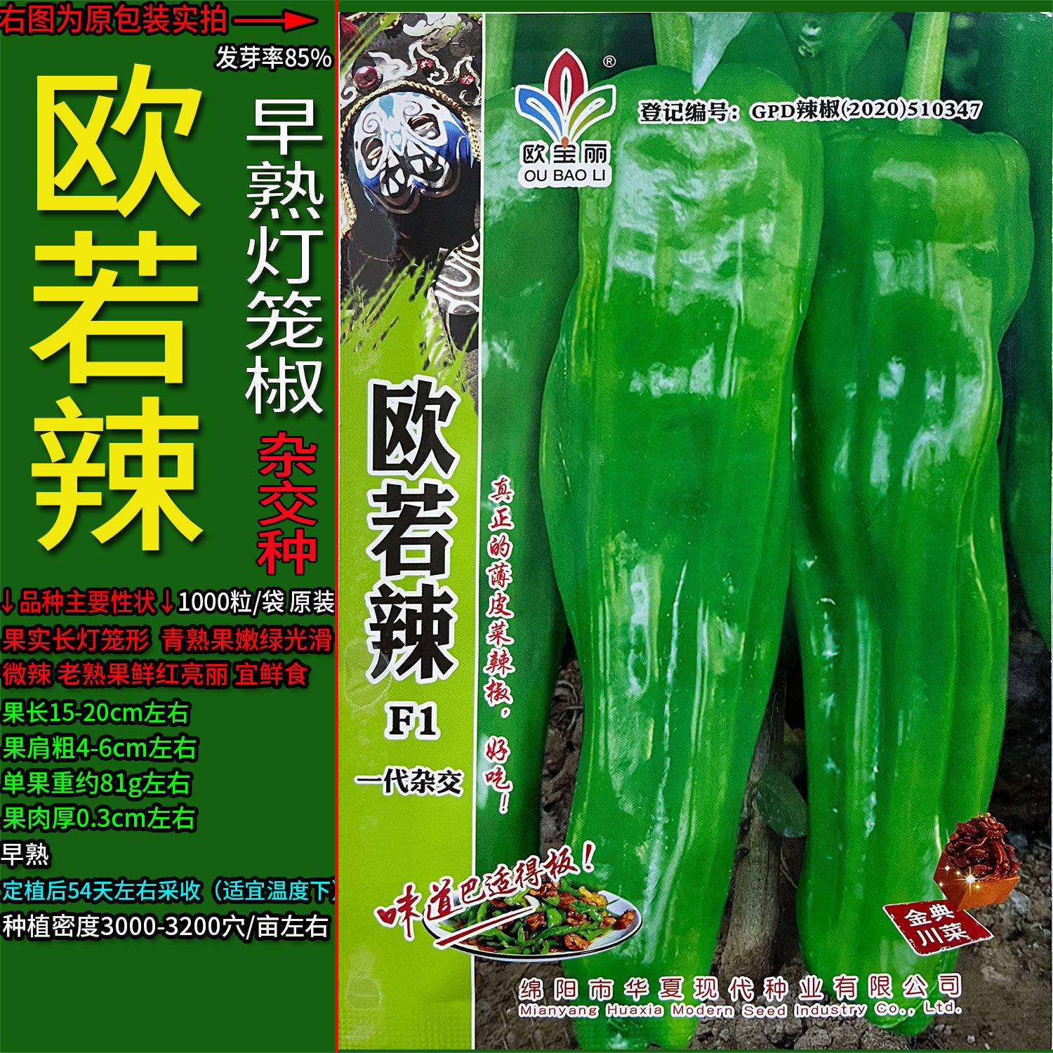 欧若辣1000粒灯笼椒辣椒种子孑籽杂交高产蔬菜海菜青辣椒辣子春夏