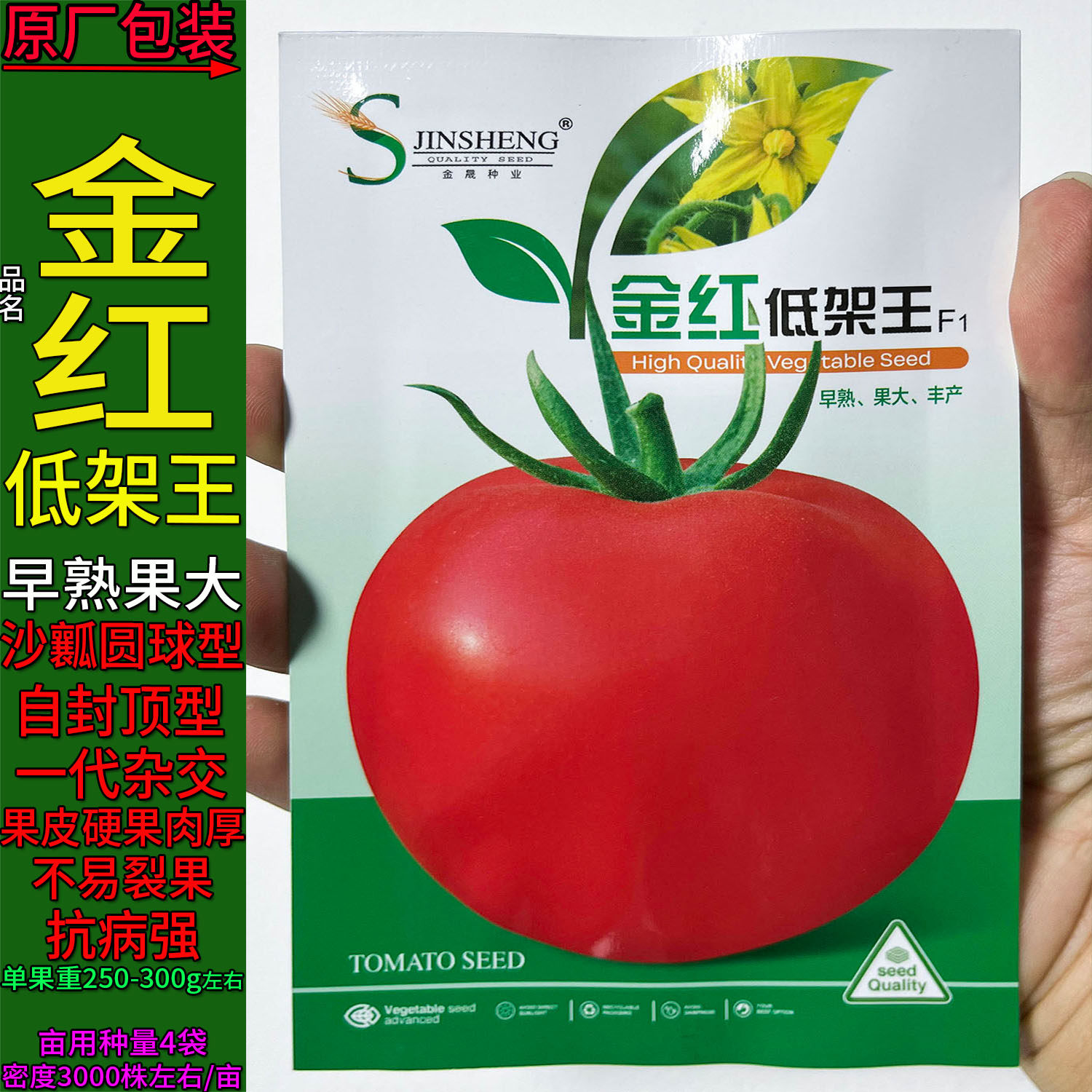 金红低架大红番茄西红柿硬菜种子